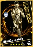 Nicolás Ibáñez CF card