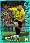 Hosoya Mao CF card