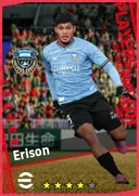 Erison CF card