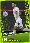 Everaldo CF card