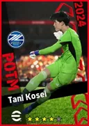 Tani Kosei GK card