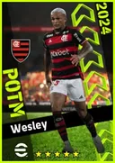 Carte de Wesley · RB