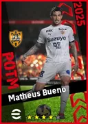 Matheus Bueno DMF card