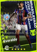 Everaldo CF card