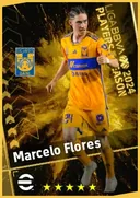 Marcelo Flores LMF card