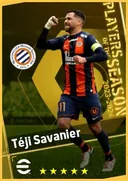 بطاقة Téji Savanier · AMF