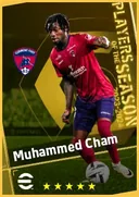 بطاقة Muhammed Cham · AMF
