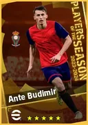 Ante Budimir CF card