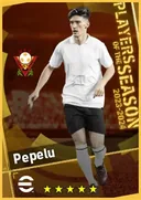 بطاقة Pepelu · DMF