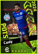 Cauly AMF card