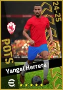 بطاقة Yangel Herrera · DMF