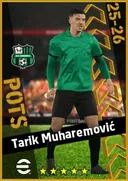 Tarik Muharemović CB card