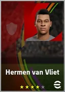 Hermen van Vliet AMF card