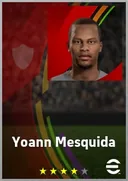Yoann Mesquida CF card