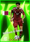 بطاقة Homam El Amin · LB