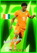 Carte de Amad Diallo · RMF