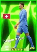 Carte de Gregor Kobel · GK