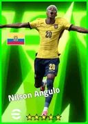 بطاقة Nilson Angulo · LMF