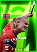 Erling Haaland CF card