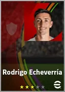 Rodrigo Echeverría DMF card