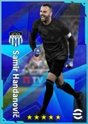 Carte de Samir Handanovič · GK