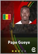بطاقة Pape Gueye · DMF