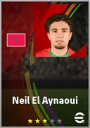 بطاقة Neil El Aynaoui · CMF