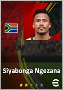 Siyabonga Ngezana CB card