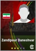 Zandipour Daneshvar CF card