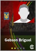 بطاقة Gebson Briguel · DMF