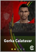 Gorka Calatavar LWF card
