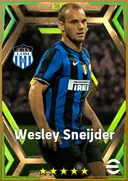 بطاقة Wesley Sneijder · AMF