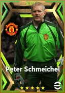بطاقة Peter Schmeichel · GK