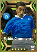 Fabio Cannavaro CB card