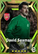 David Seaman GK card