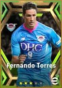Fernando Torres CF card