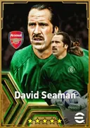 Carte de David Seaman · GK