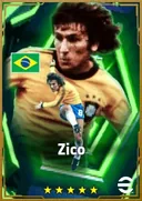 Zico AMF card
