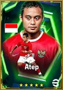 Atep LWF card
