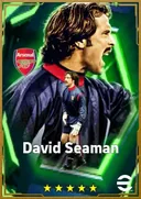 Carte de David Seaman · GK