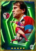 Zico AMF card