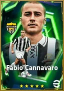 Fabio Cannavaro CB card