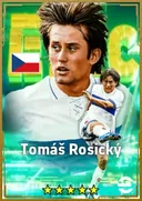 Tomáš Rosický AMF card