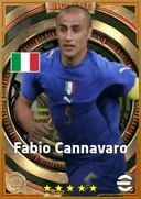 بطاقة Fabio Cannavaro · CB
