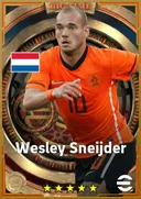 Wesley Sneijder AMF card