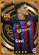 Carte de Gavi · LMF