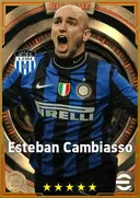 Carte de Esteban Cambiasso · DMF